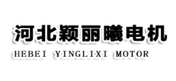 河北穎麗曦電機(jī)制造有限公司